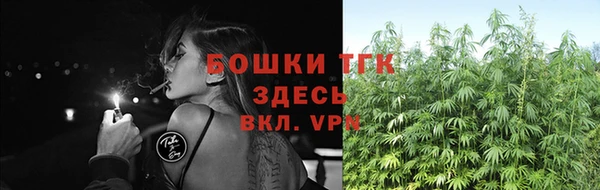 стаф Грязовец