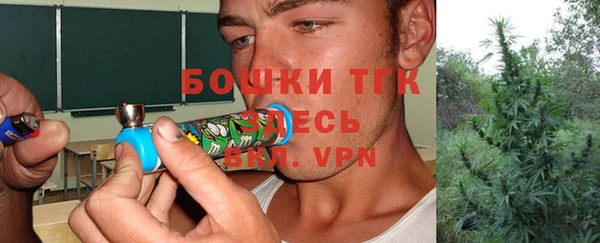 герыч Мегион