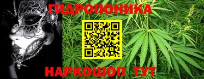 таблы Новокубанск