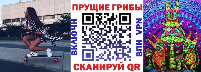 mega ССЫЛКА  Новотроицк  Псилоцибиновые грибы мицелий 