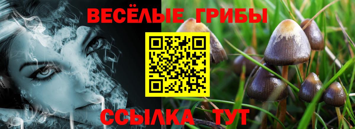 Новотроицк  Псилоцибиновые грибы GOLDEN TEACHER  Вход с VPN 